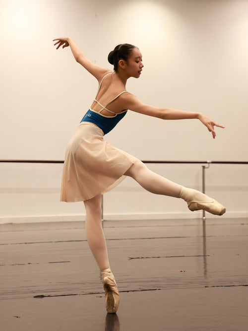 AEDC Color Block Cami Leotard